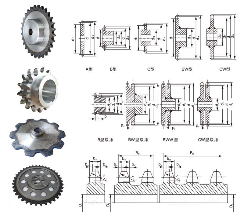 鏈輪圖 (1).jpg